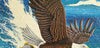 Dynamic Eagle 1