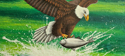 Dynamic Eagle 2