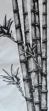Mind of Bamboo 1