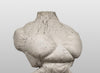 Concrete Torso