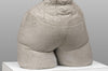 Concrete Torso