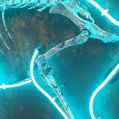Mortagenic Specimen #1B - Artonique