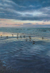 Dawn Tide Gulls