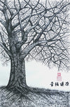 Deep Rooted Tree 1