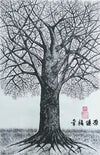 Deep Rooted Tree 2