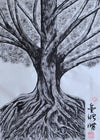 Deep Rooted Tree 3