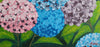Dream of Hydrangea 4
