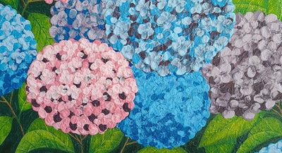 Dream of Hydrangea 4