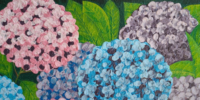 Dream of Hydrangea 4