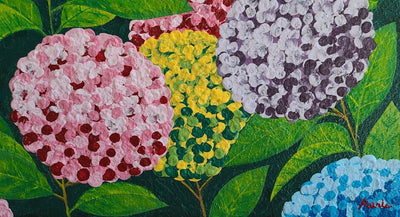 Dream of Hydrangea 5