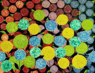 Colorful Flowers
