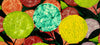 Colorful Flowers