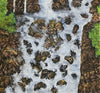 Falls 2