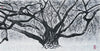 Oriental work on Traditional Paper by Korean Artist Karis Kim