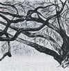 Oriental work on Traditional Paper by Korean Artist Karis Kim