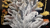 Magic Flower1 - Artonique