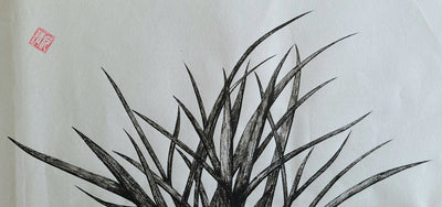 Orchid 5
