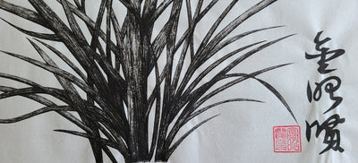 Orchid 5