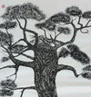 Pine Tree 2