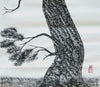 Pine Tree 2
