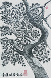 Pine Tree 3
