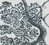 Pine Tree 3