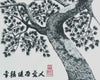 Pine Tree 3