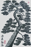 Pine Tree 4