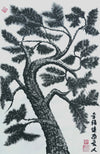 Pine Tree 5