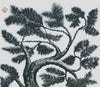 Pine Tree 5