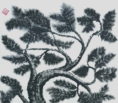 Pine Tree 5