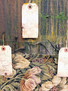 Ill Corralo no.4 - Artonique