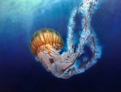 The Pacific Sea Nettle - Chrysaora fuscescens - Artonique