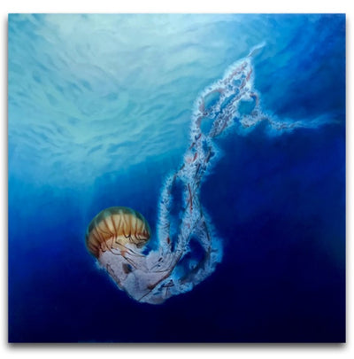 The Pacific Sea Nettle - Chrysaora fuscescens - Artonique