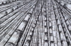 Mind of Bamboo 6